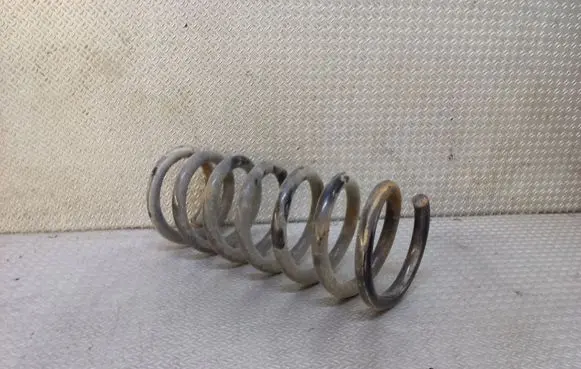 Chevrolet Captiva Rear coil spring