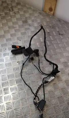 Volkswagen Tiguan Rear door wiring loom 5n0791693ae