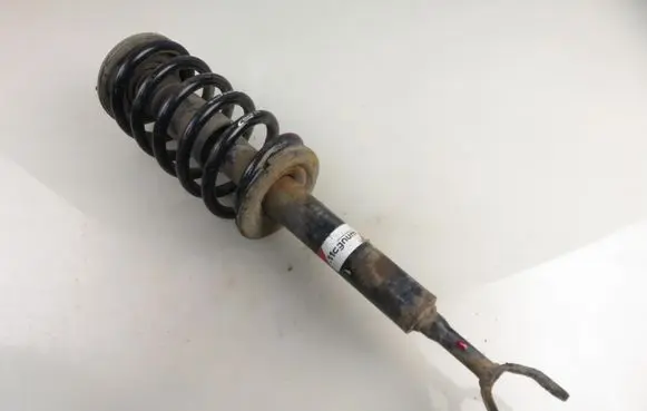Volkswagen PASSAT B5.5 Front shock absorber with coil spring AGA048MT