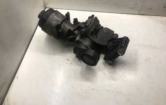 BMW 3 E46 Oil filter cover 1713838