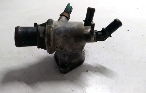 Thermostat/thermostat housing