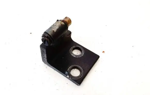 BMW X5 E53 Rear door lower hinge