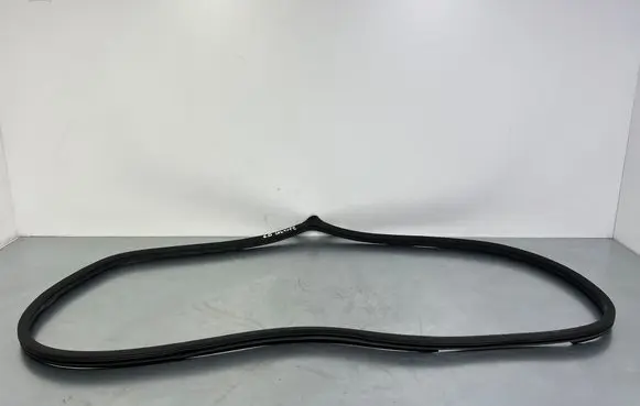 Rear door rubber seal (on body)