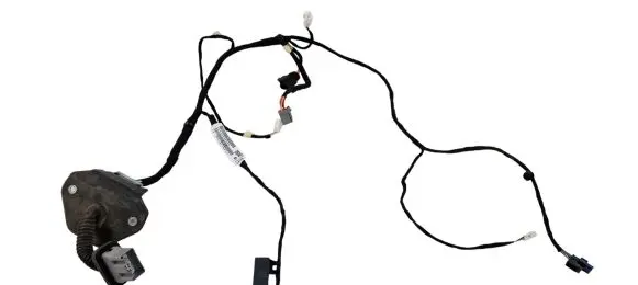 Dodge Charger Rear door wiring loom P68293059AB TAWR1377WB221 059AB