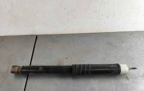 Renault Zoe Rear shock absorber/damper 562102552R