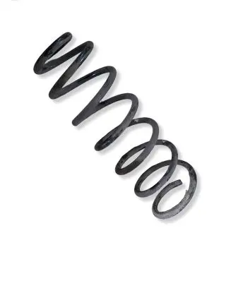 Citroen Berlingo Rear coil spring 