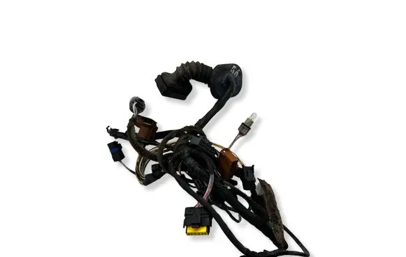 Renault Espace - Grand espace IV Front door wiring loom 