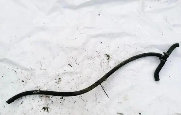Subaru Legacy Engine coolant pipe/hose