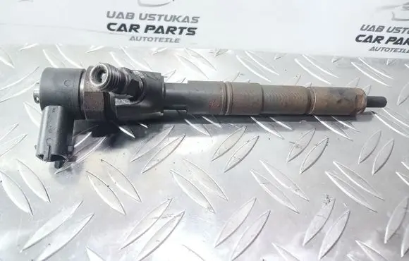 Opel Insignia A Fuel injector 0445110423 445160087
