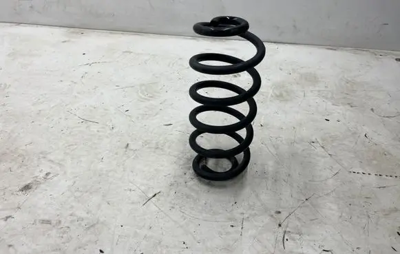 BMW X6 E71 Rear coil spring