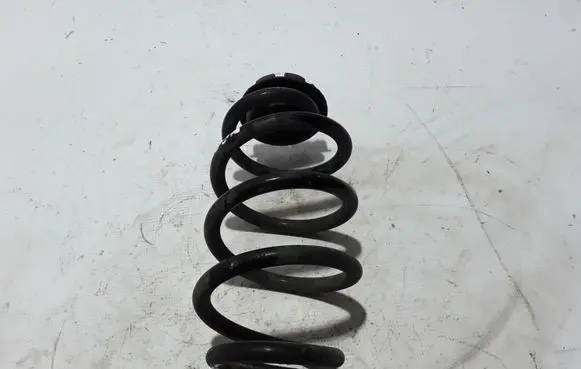 Renault Zoe Rear coil spring 550203432R