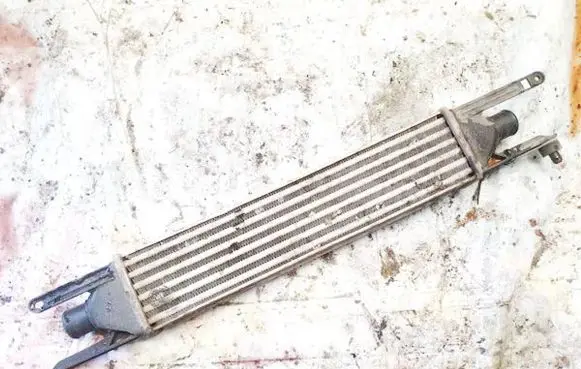 Fiat Punto (188) Intercooler radiator