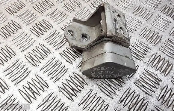 Renault Megane II Front door hinges set 