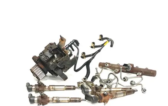 Nissan Juke I F15 Fuel injection system set H8201100115 167008557R H8201225030