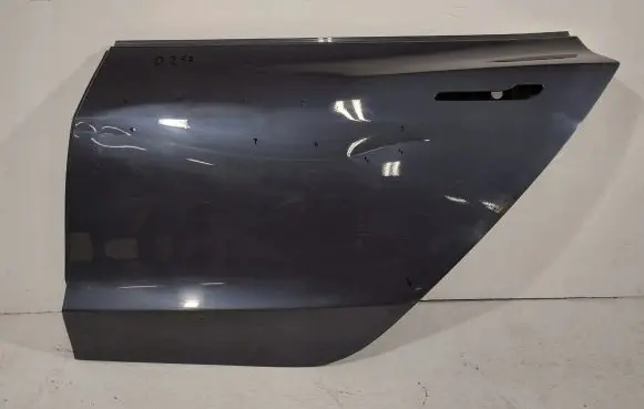 Tesla Model 3 Rear door