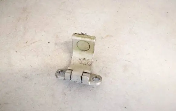 Volkswagen Golf IV Tailgate/trunk/boot hinge 1j9827301