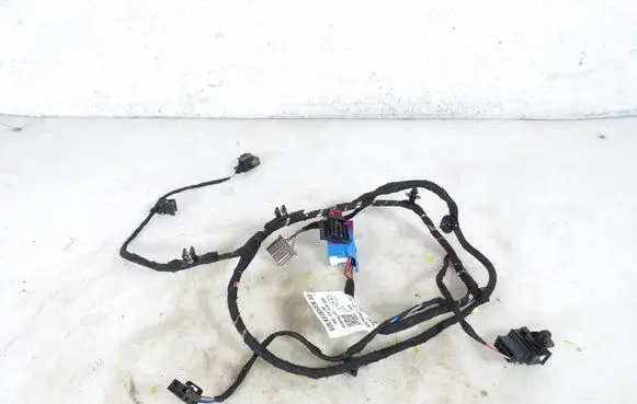 Other wiring loom