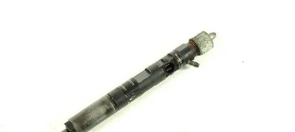 Renault Clio III Fuel injector 28232251 166001137R
