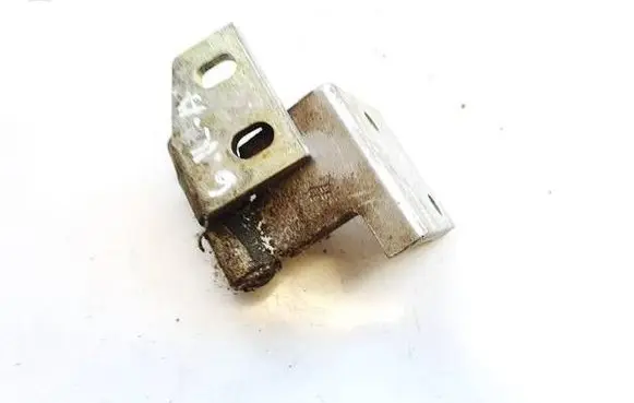 Rear door lower hinge