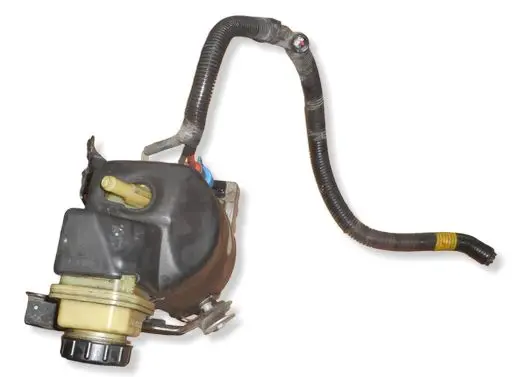 Renault Laguna III Power steering pump 491100033R