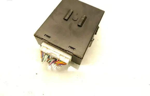 Nissan X-Trail T31 Immobilizer control unit/module WG1G672A