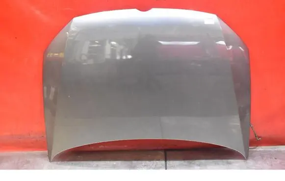 Engine bonnet/hood