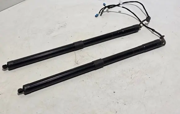 Tailgate strut