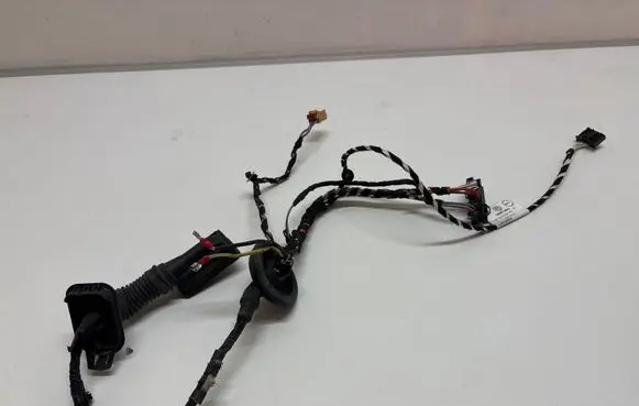 Volkswagen PASSAT B8 Rear door wiring loom 3G0971693A