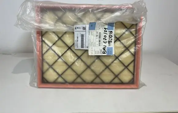 BMW X5 E70 Air filter 7798342
