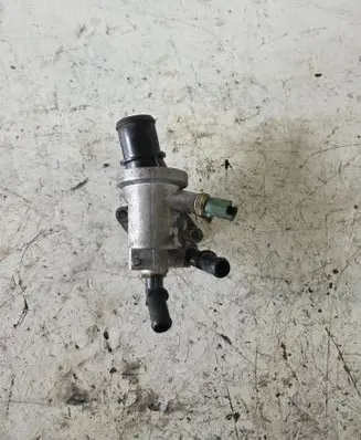 Thermostat/thermostat housing