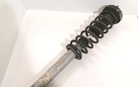 BMW 5 E39 Rear shock absorber with coil spring 