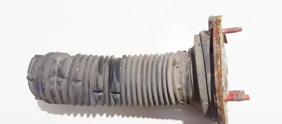Coil spring mount