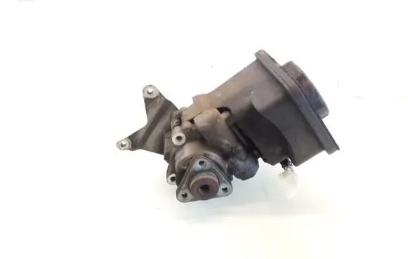 BMW 5 E39 Power steering pump 1095749