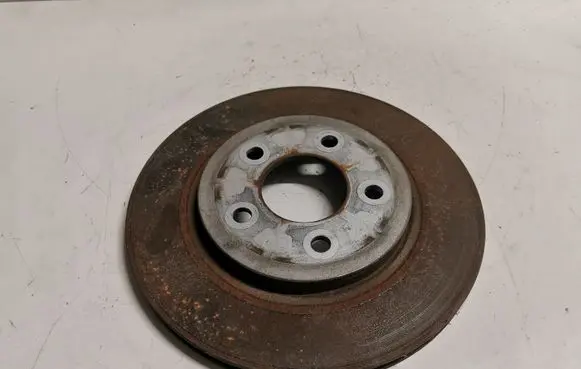 Ford Mustang V Rear brake disc 5R332C026A