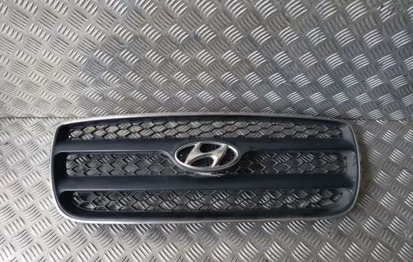 Hyundai Santa Fe Front bumper upper radiator grill E865612B010 865612B010