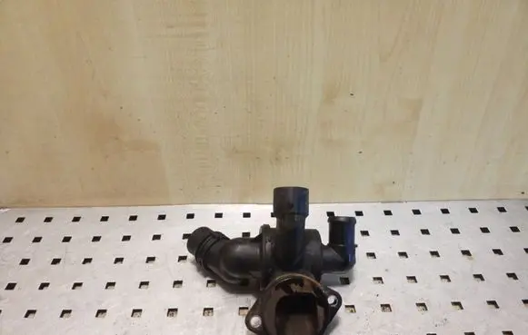 Thermostat/thermostat housing