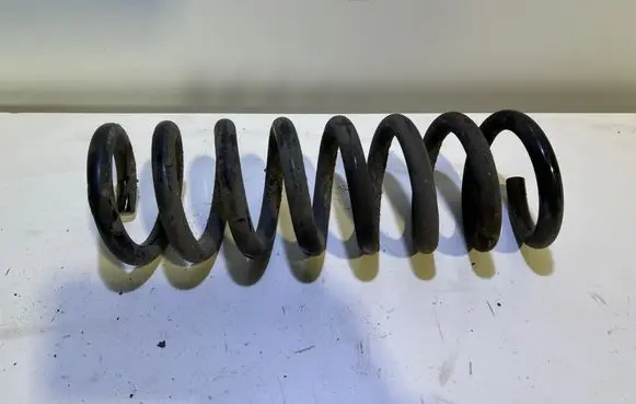 Rear coil spring