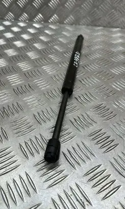 Chevrolet Captiva Tailgate/trunk strut/damper 0510113