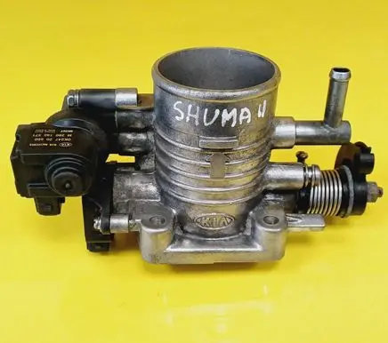 Throttle body valve