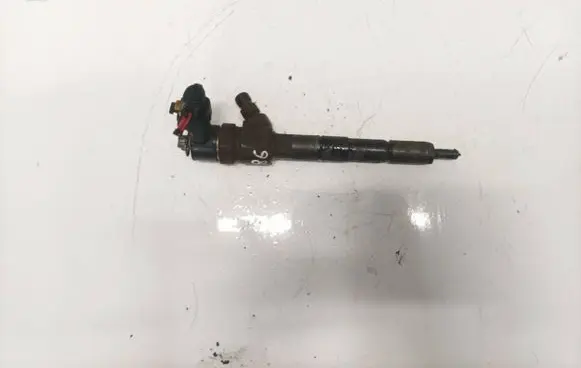 Fiat Croma Fuel injector 0445110243