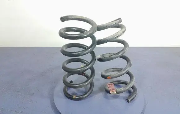 Rear coil spring