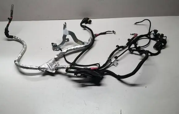 Engine installation wiring loom