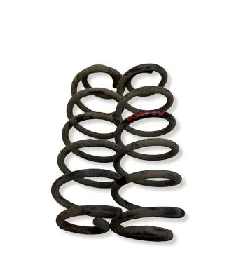 Peugeot 307 Rear coil spring 7545734