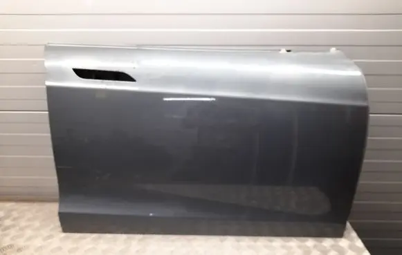 Tesla Model S Front door