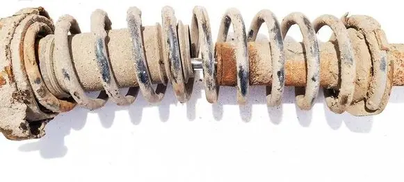 Rear coil spring