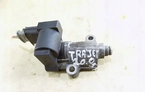 Hyundai Trajet EGR valve