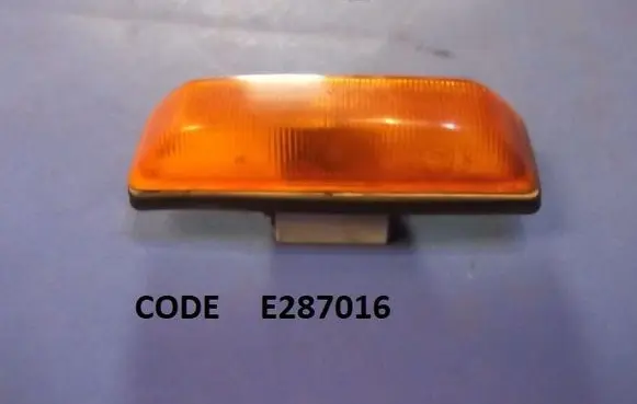 Front fender indicator light