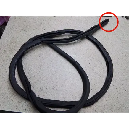 Porsche Panamera (971) Front door rubber seal 971831721