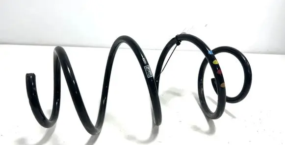 Front coil spring