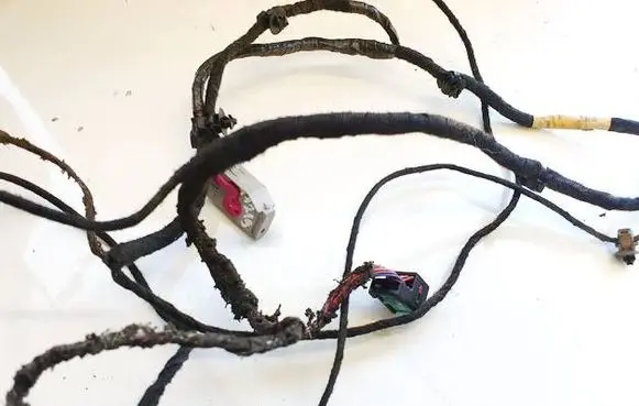 Volkswagen PASSAT B6 Other wiring loom 3C1971557AK